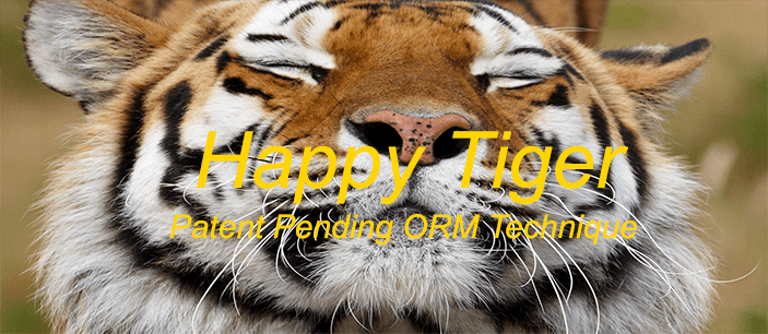 happy tiger orm