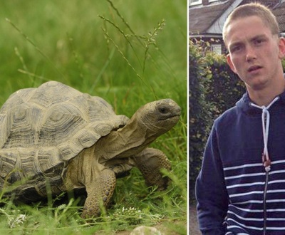 3 Marketing Lessons From A Stolen Tortoise
